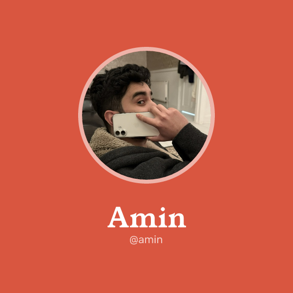 Amin on Memorycard