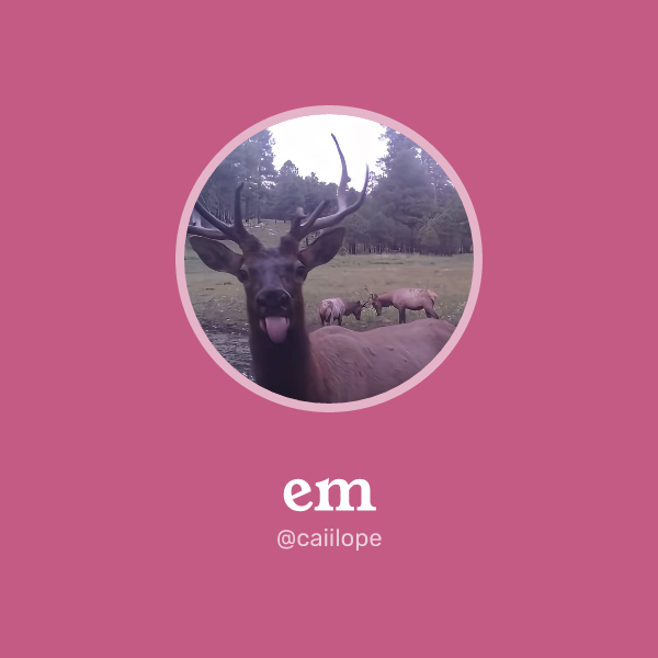 em on Memorycard