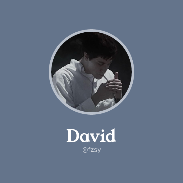 David on Memorycard