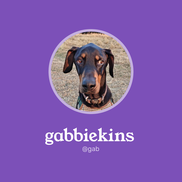 gabbiekins on Memorycard
