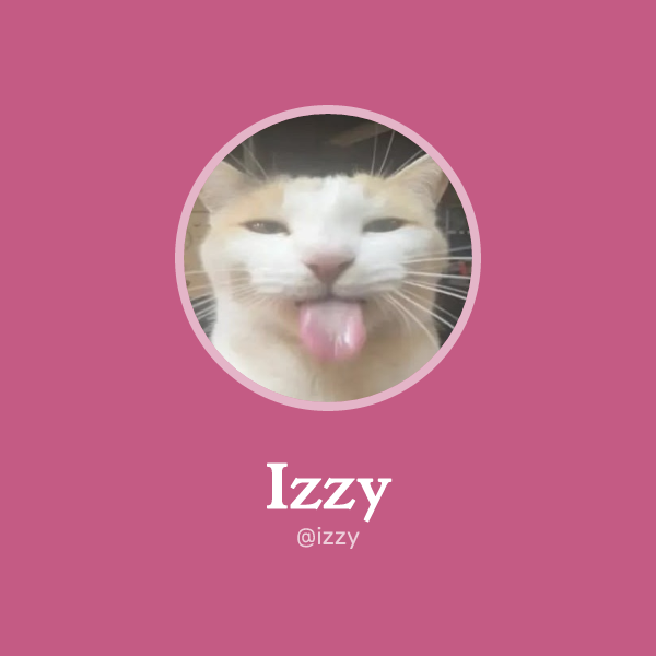 Izzy on Memorycard
