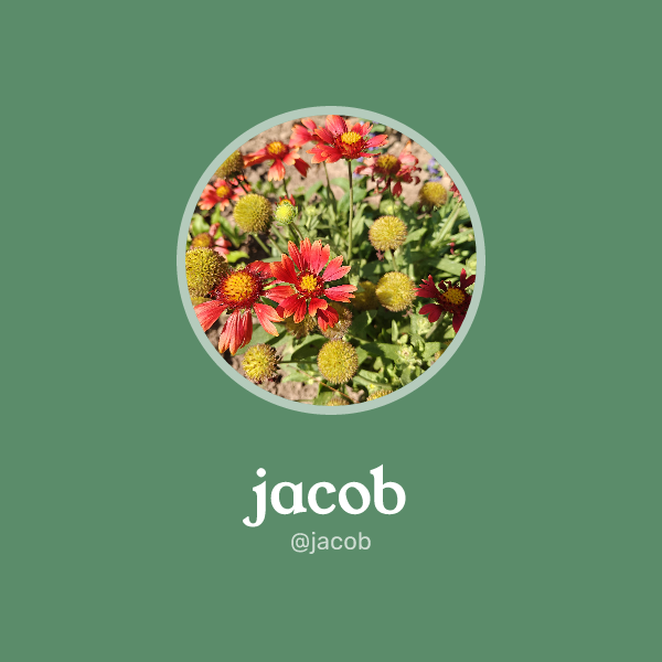 jacob on Memorycard
