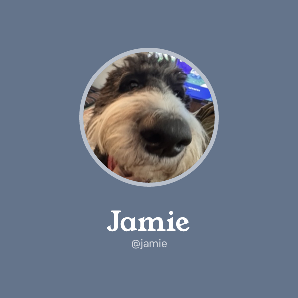 Jamie on Memorycard