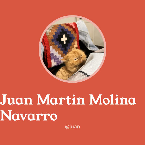 Juan Martin Molina Navarro on Memorycard