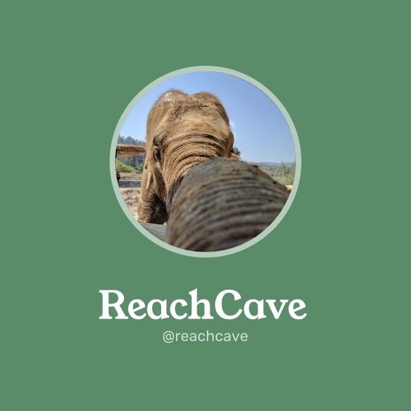 ReachCave on Memorycard