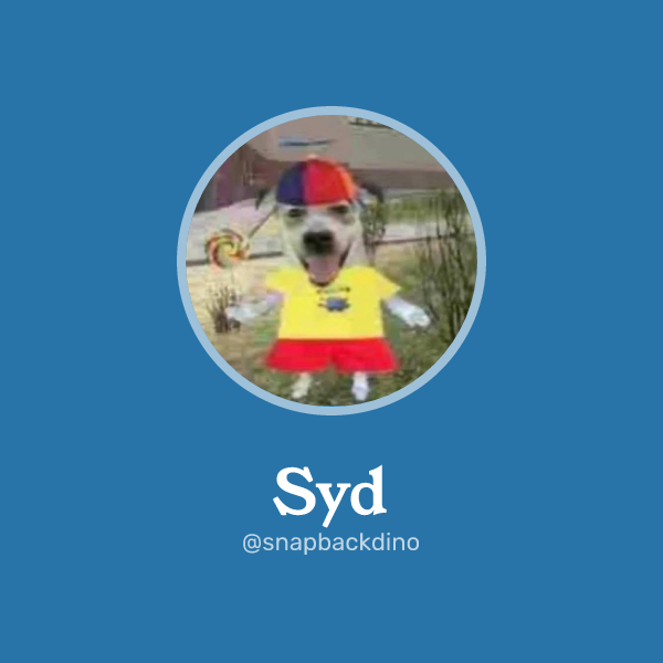 Syd on Memorycard