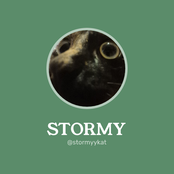 STORMY on Memorycard