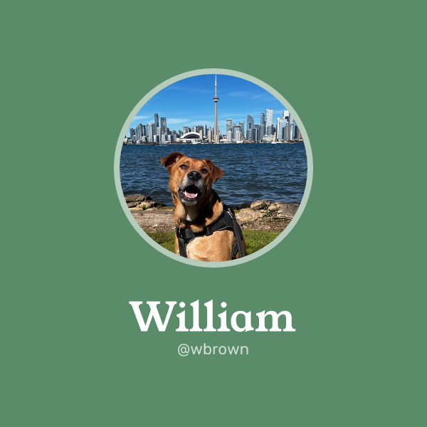 William on Memorycard