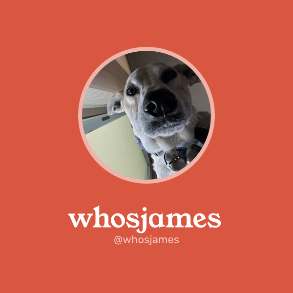 whosjames on Memorycard