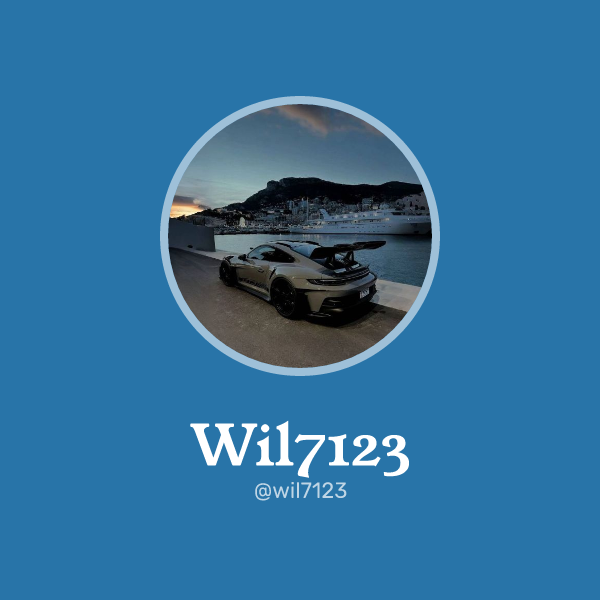 Wil7123 on Memorycard